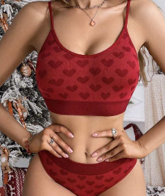 Lenceria Sexy Sensuel