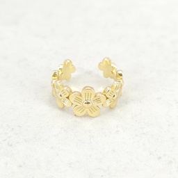 Anillo Brass
